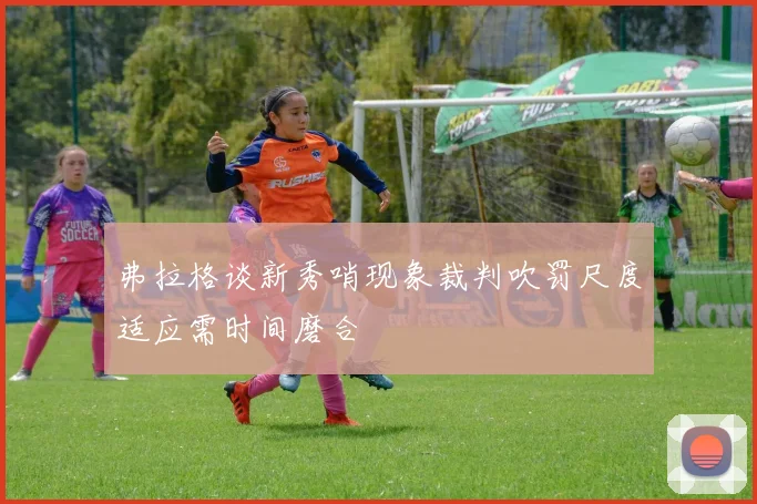 弗拉格谈新秀哨现象裁判吹罚尺度适应需时间磨合